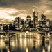 Gallery/images/025.jpg