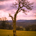 Gallery/images/034.jpg
