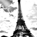 Gallery/images/053.jpg