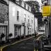 Gallery/images/106.jpg