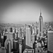 Gallery/images/121.jpg