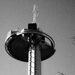Gallery/images/135.jpg