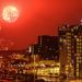 Gallery/images/210.jpg
