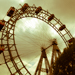 Gallery/images/213.jpg