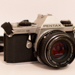 Gallery/images/233.jpg