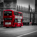 Gallery/images/235.jpg