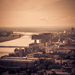 Gallery/images/245.jpg