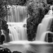 Gallery/images/247.jpg