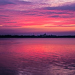 Gallery/images/248.jpg