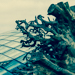 Gallery/images/262.jpg