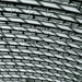 Gallery/images/264.jpg