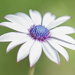 Gallery/images/281.jpg