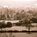 Gallery/images/287.jpg