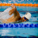 Gallery/images/295.jpg