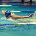 Gallery/images/302.jpg